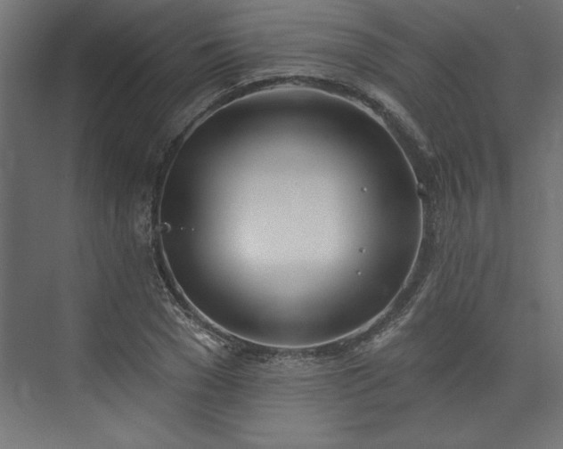 X0000073950977200608281211