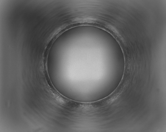 X0000073950978200608281211