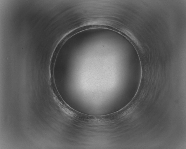 X0000073950980200608281210