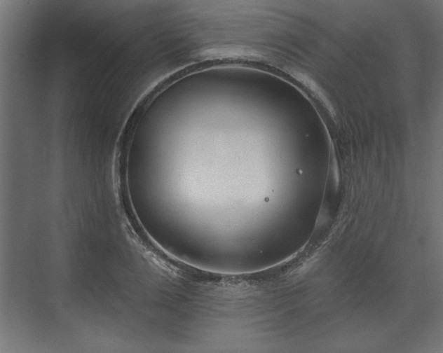 X0000073950983200608281210