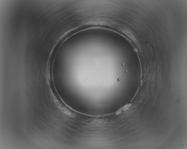 X0000073950984200608281210