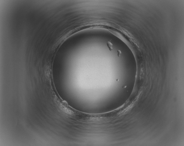 X0000073950985200608281210