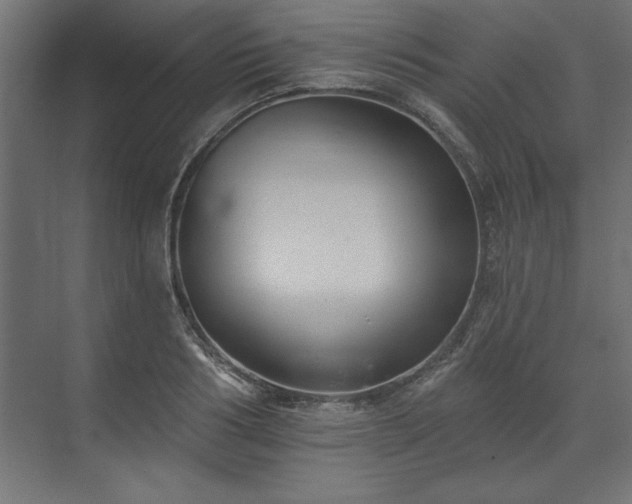 X0000073950986200608281210