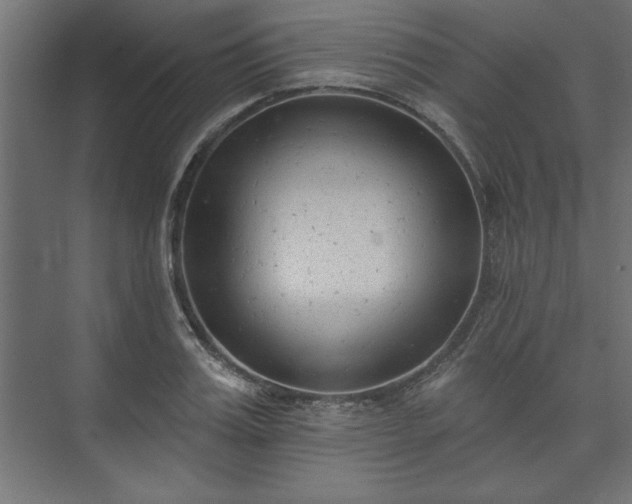 X0000073950987200608281210