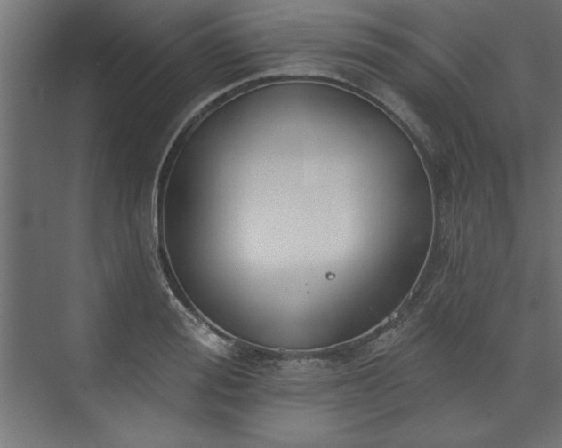 X0000073950988200608281210