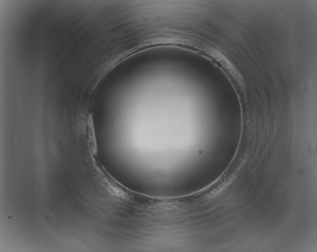 X0000073950993200608281210