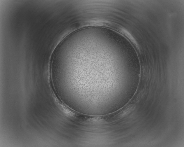 X0000073950994200608281210