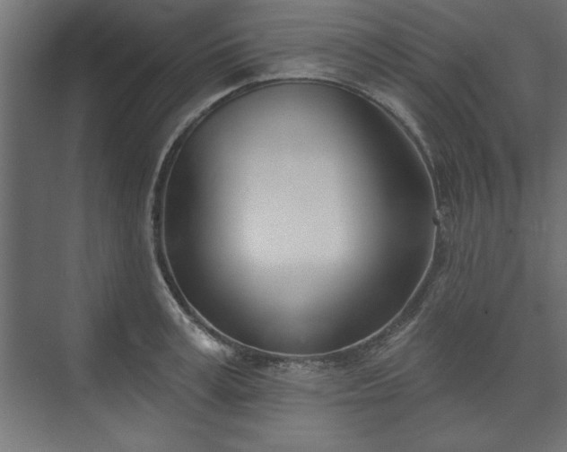 X0000073950995200608281210