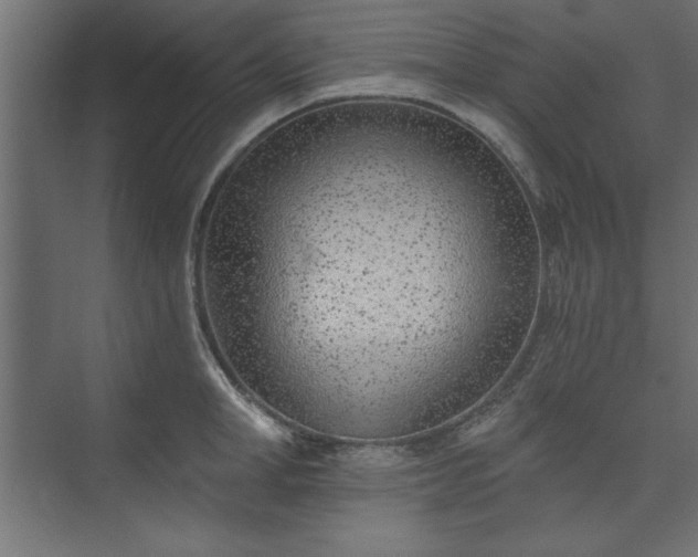 X0000073950998200608281210