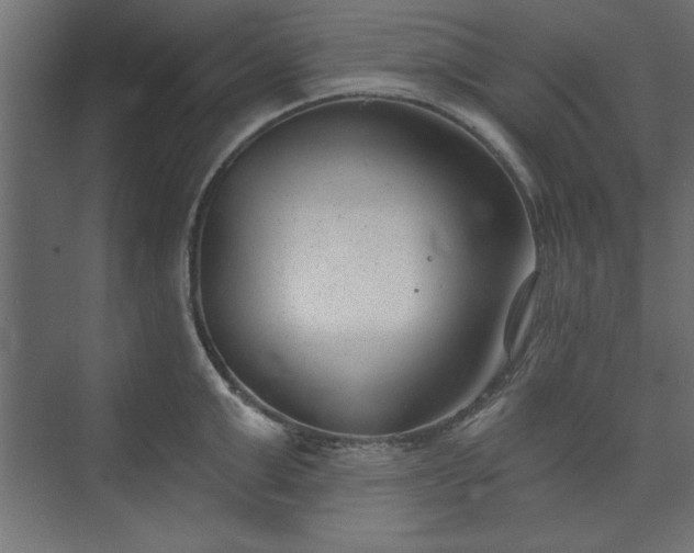 X0000073950999200608281210