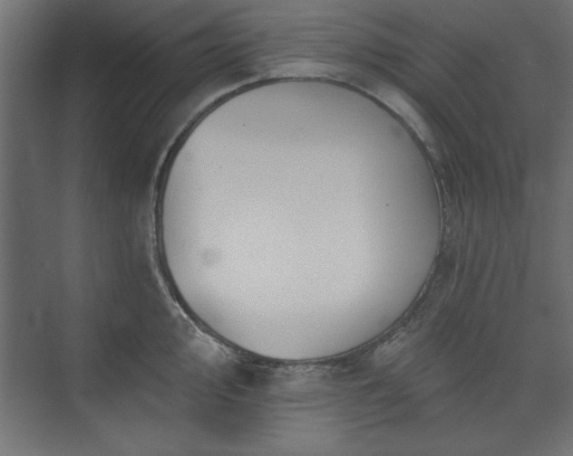 X0000073951000200608281210