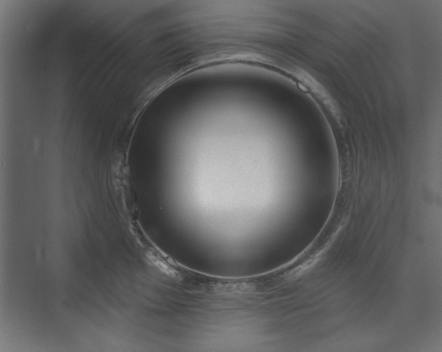 X0000073951001200608281210