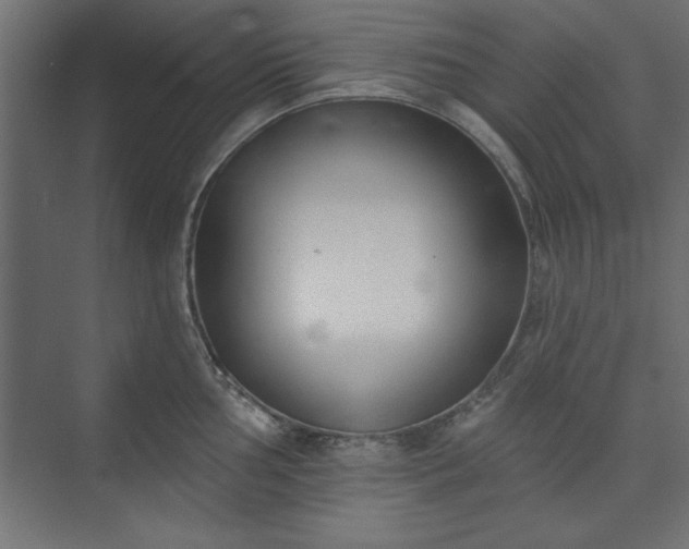 X0000073951002200608281210