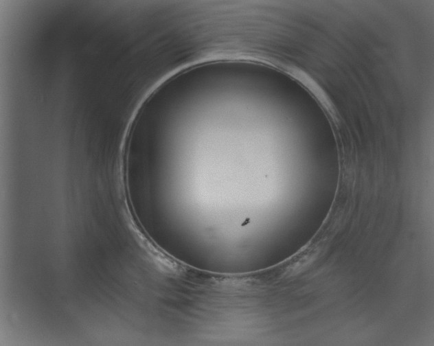 X0000073951004200608281210