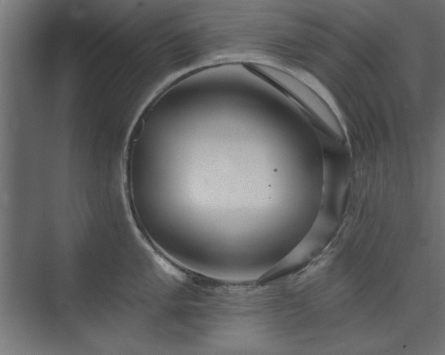 X0000073951005200608281210