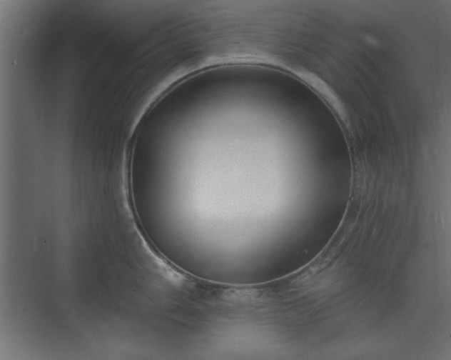 X0000073951006200608281210