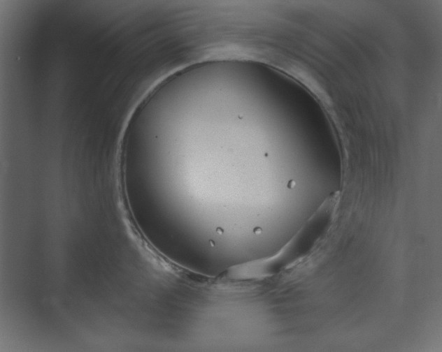 X0000073951008200608281210