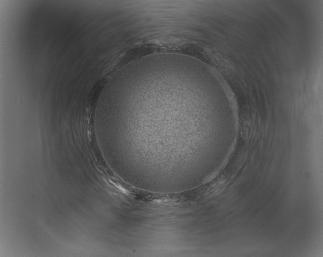 X0000073951010200608281209