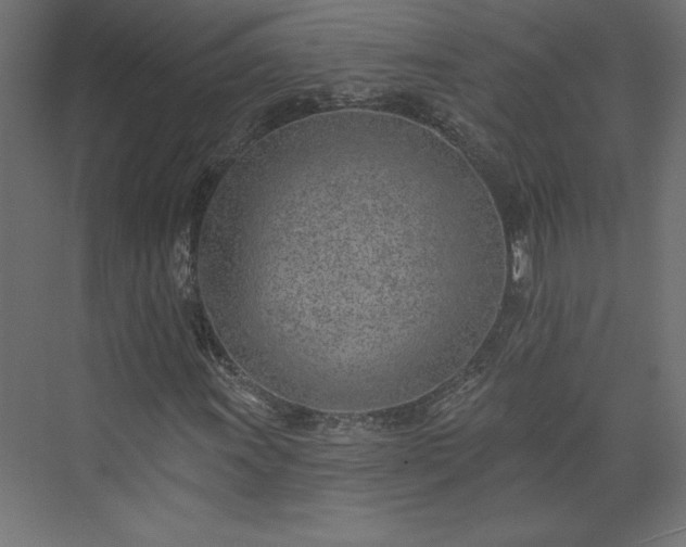 X0000073951011200608281209