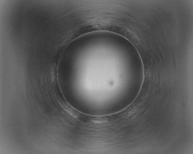 X0000073951012200608281209