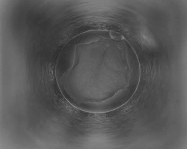 X0000073951013200608281209