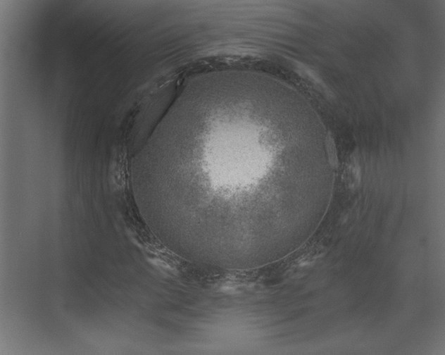 X0000073951014200608281209