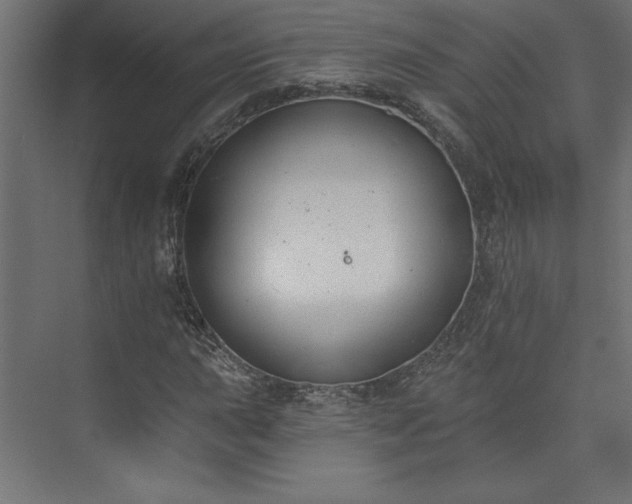 X0000073951015200608281209