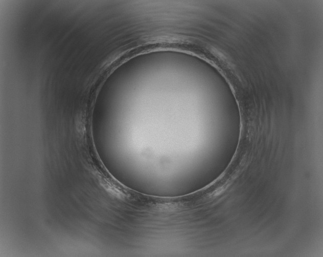 X0000073951017200608281209