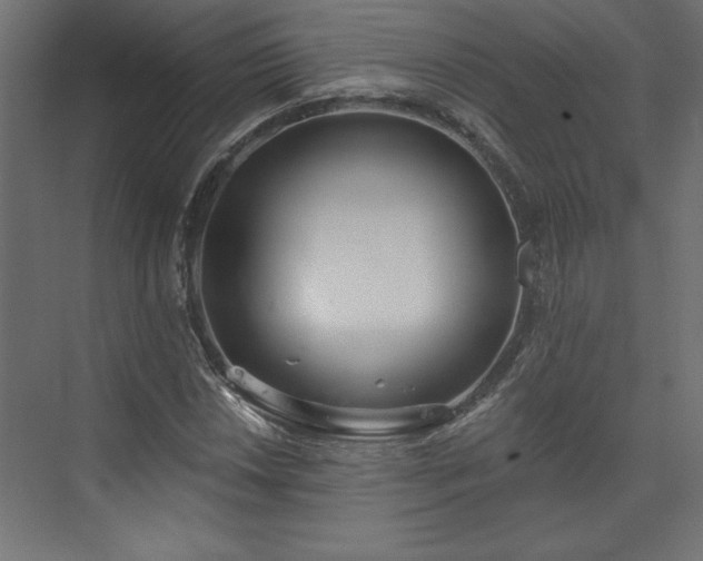 X0000073951018200608281209