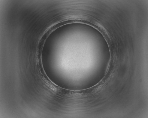 X0000073951019200608281209