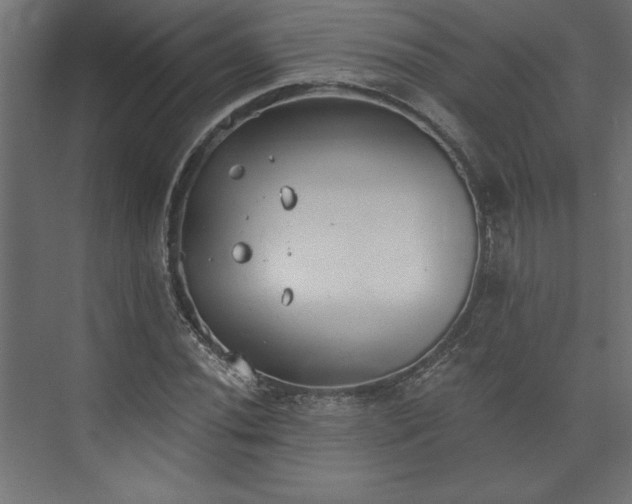 X0000073951020200608281209