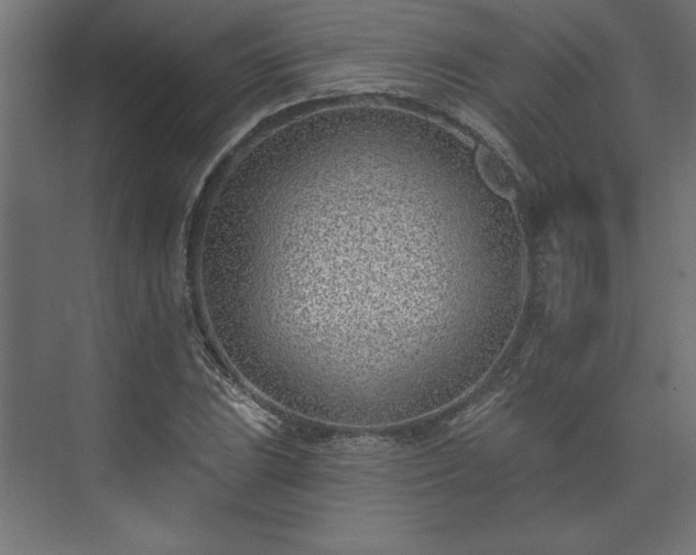 X0000073951023200608281209