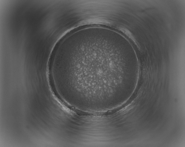 X0000073951024200608281209