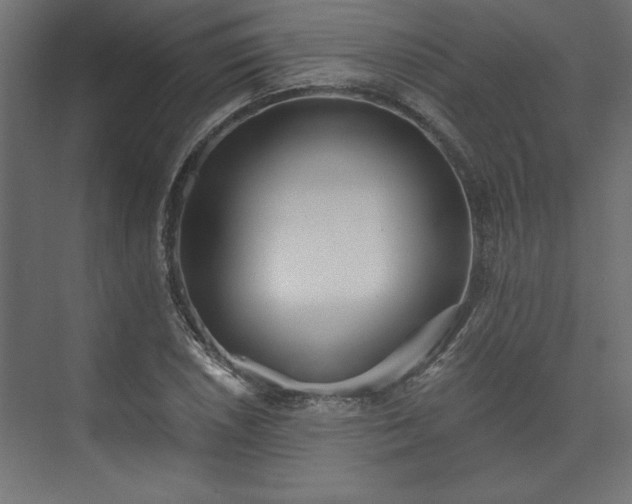 X0000073951026200608281209