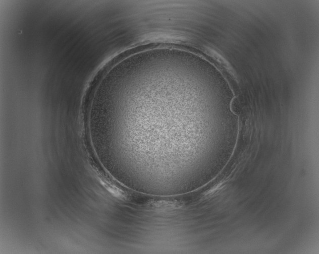 X0000073951027200608281210