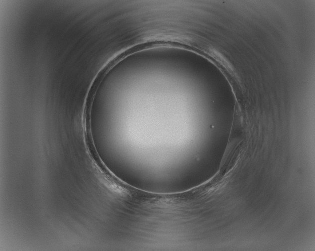 X0000073951028200608281210