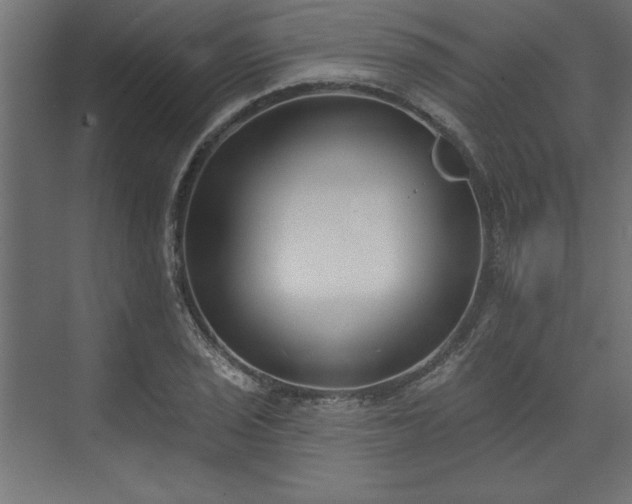 X0000073951029200608281210