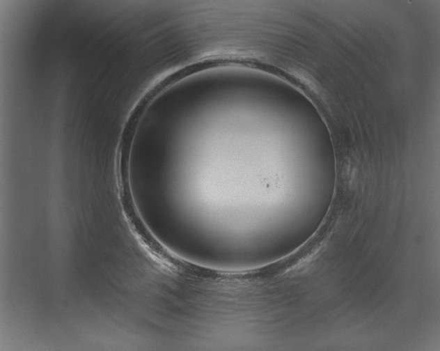 X0000073951030200608281210