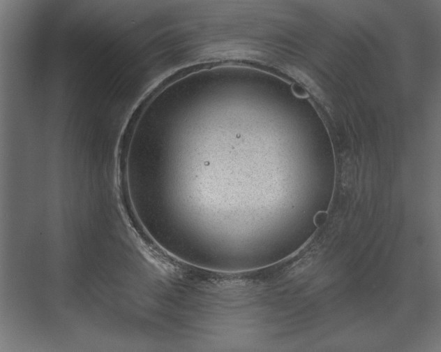 X0000073951031200608281210