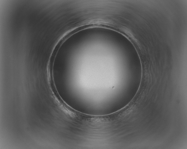 X0000073951032200608281210