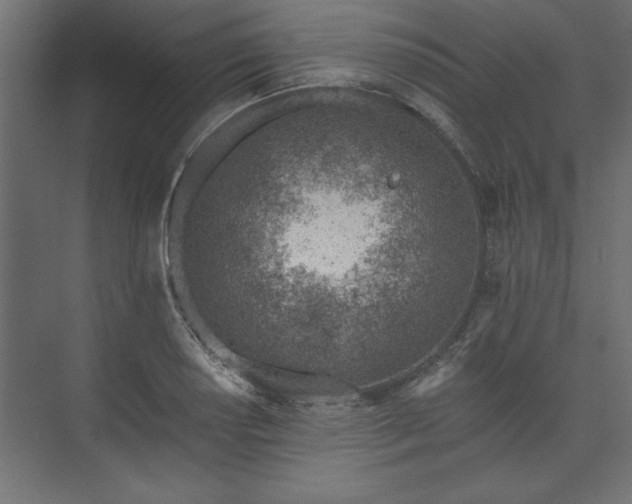 X0000073951034200608281210