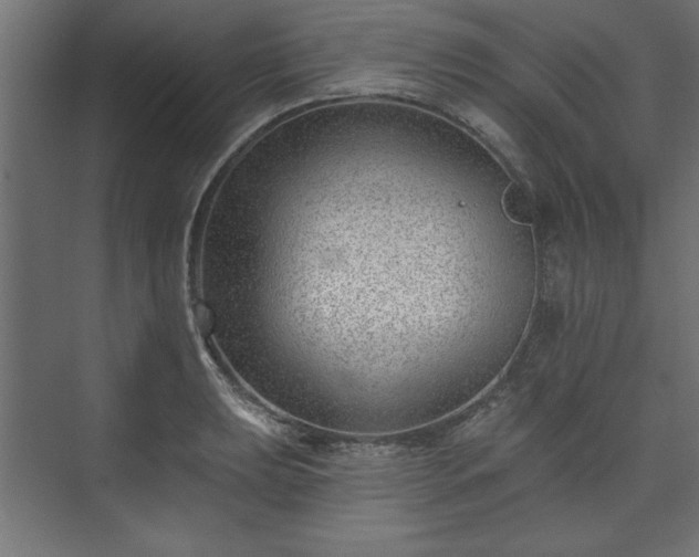 X0000073951039200608281210