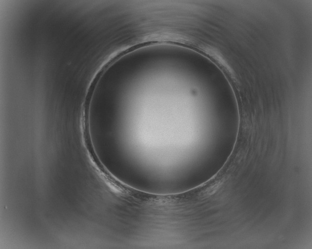 X0000073951040200608281210