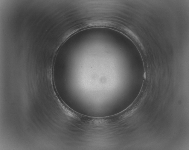 X0000073951041200608281210