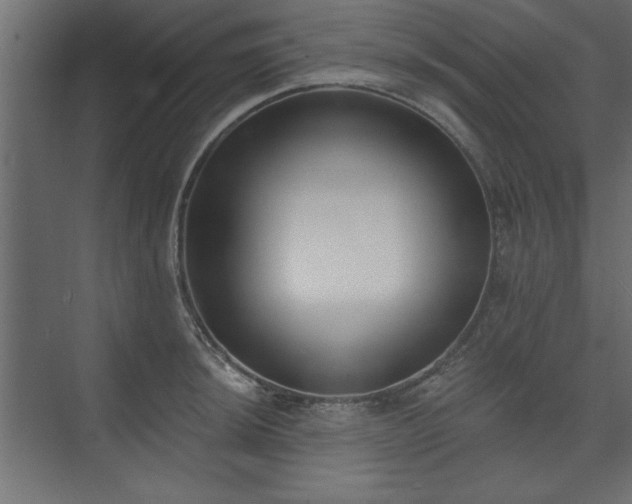 X0000073951044200608281210