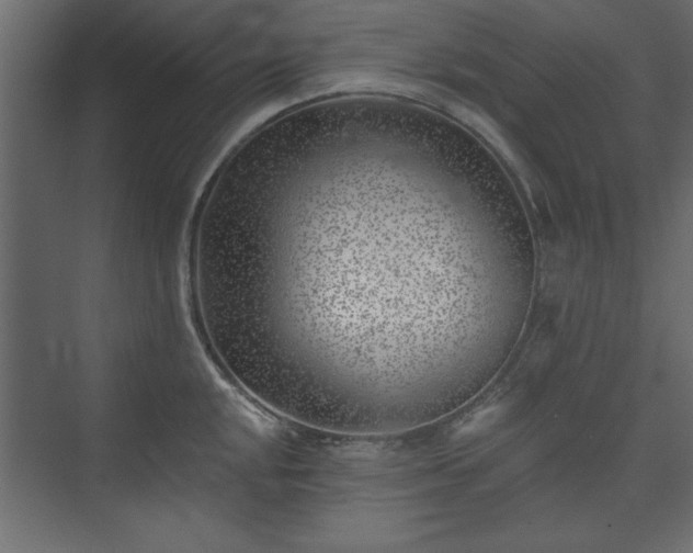 X0000073951048200608281210