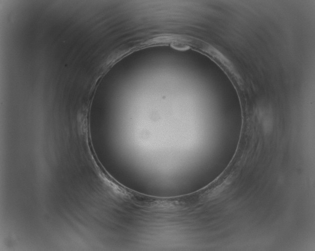 X0000073951049200608281210