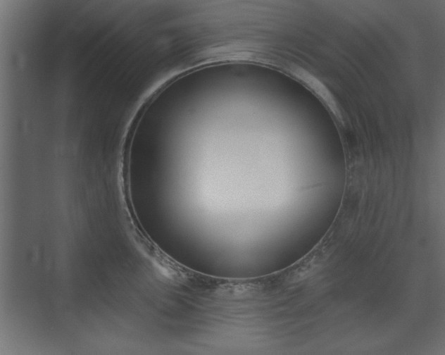 X0000073951051200608281210