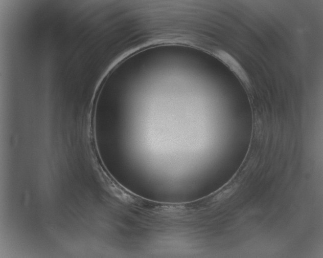 X0000073951052200608281210