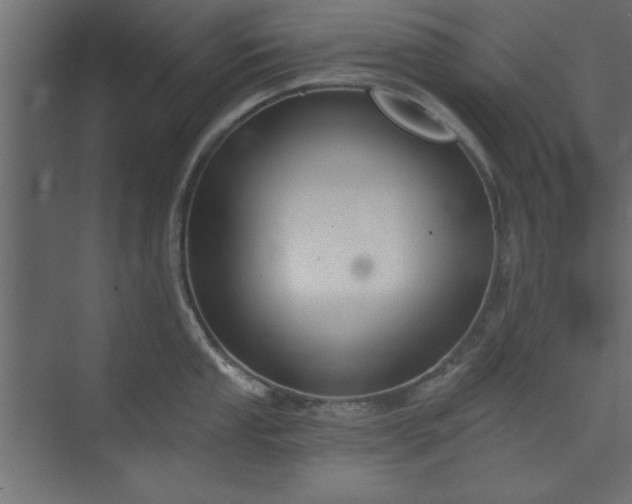 X0000073951053200608281210